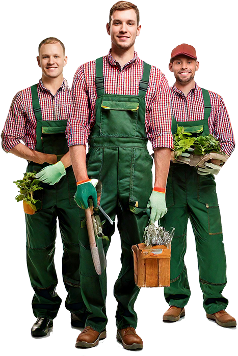 Kümmern sich um die Umsetzung